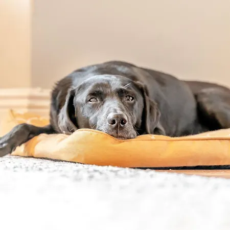 Nyaraló 3 Bed In 89526 Keswick